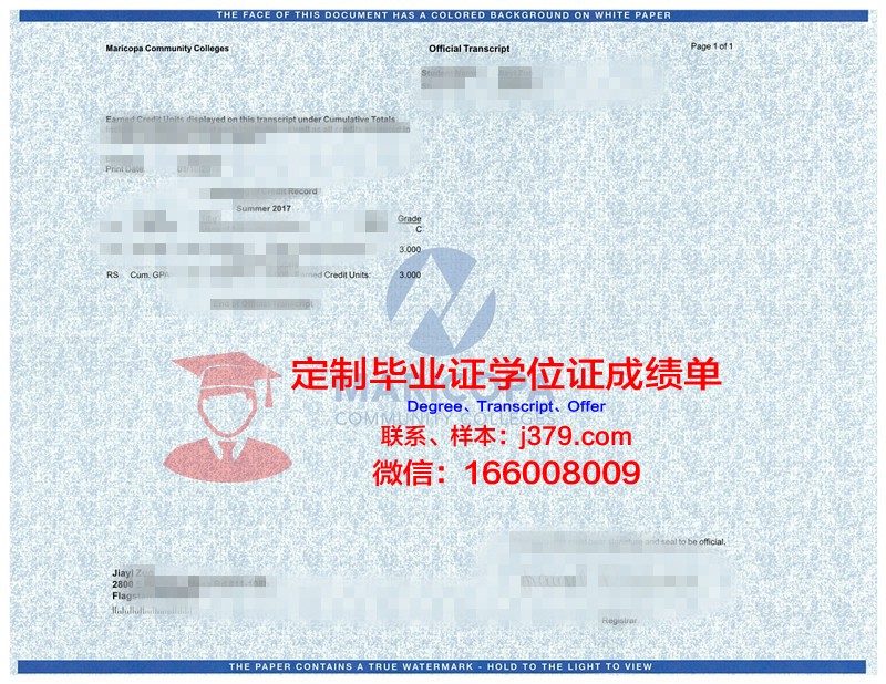 德维索萨联邦大学成绩单