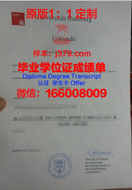德国汉堡大学学历证书(德国汉堡大学读博)