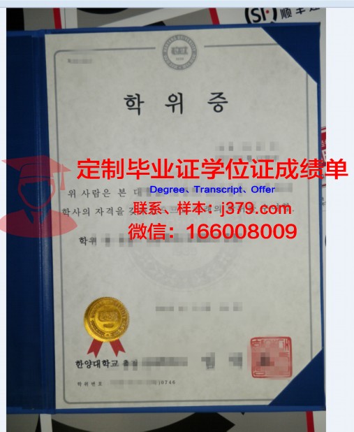 林茨大学学位证成绩单:一张纸背后的故事