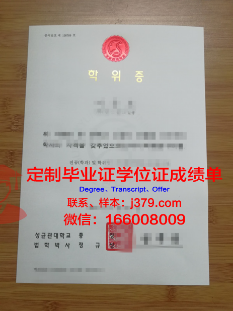 湖大本科学位证:一份承载荣誉与责任的证书