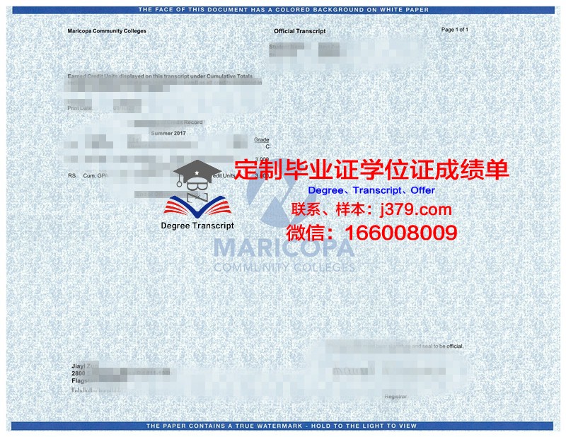 柏林洪堡大学学位成绩单定制:探秘背后的市场需求与道德边界