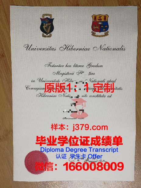 爱尔兰国立大学梅努斯分校博士毕业证(爱尔兰大学博士都是免学费吗)