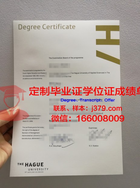 海牙皇家艺术学院毕业证成绩单