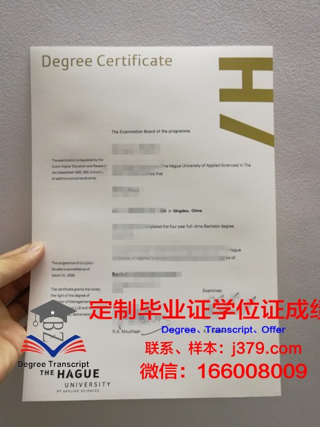 海牙酒店学院拿不了毕业证(海牙大学毕业证)