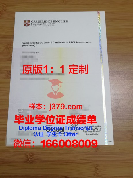 深大毕业证书图片:一张证书背后的故事