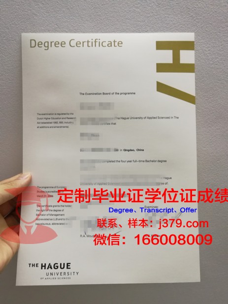 海牙应用科学大学毕业证是真的吗(海牙应用科技大学国家承认吗)