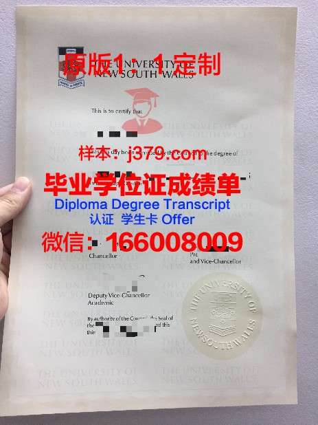 德国大学没有毕业证(德国大学有毕业证吗)