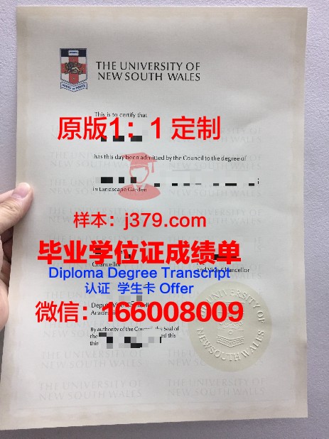 渣玛硕士毕业证:一张纸的重量与价值