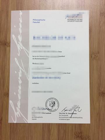 杜塞尔多夫大学 diploma(杜塞尔多夫大学医学院)