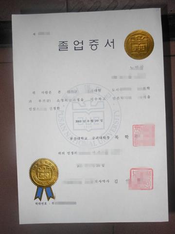 釜山科学技术大学毕业书样本(釜山大学申请)