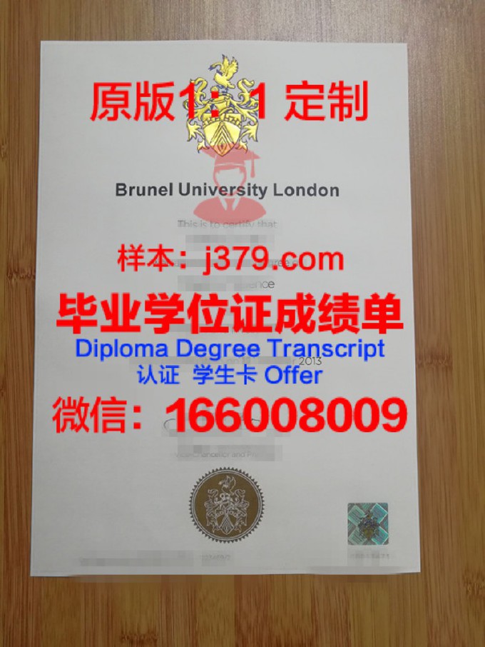 布鲁内尔大学毕业证照片(布鲁内尔大学住宿条件)