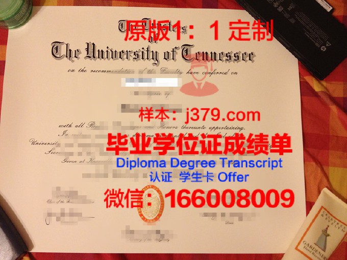 田纳西大学查塔努加分校毕业证(田纳西大学查塔努加排名)