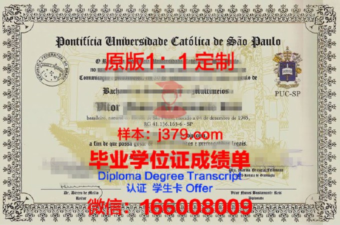 圣保罗美术大学中心研究生毕业证(圣保罗大学本科申请条件)