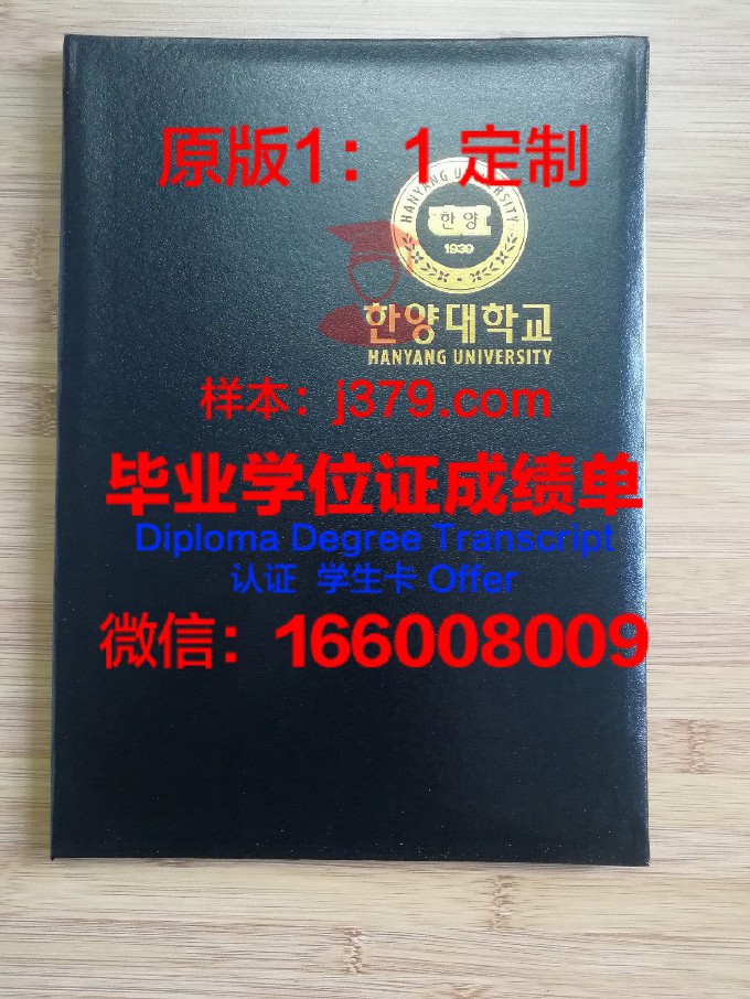 汉阳大学毕业证模板(汉阳大学毕业证模板下载)