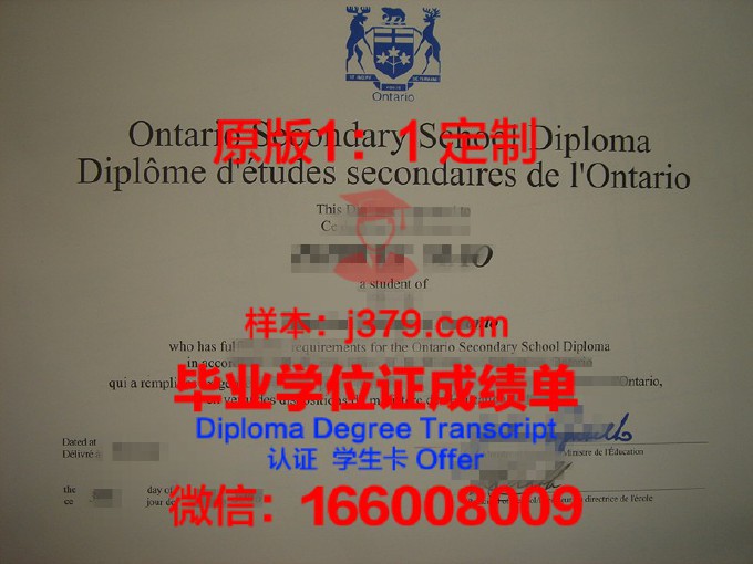 安省理工大学diploma